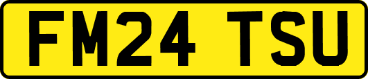 FM24TSU