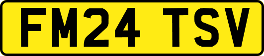 FM24TSV