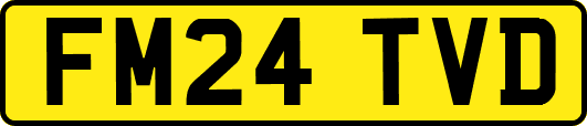 FM24TVD
