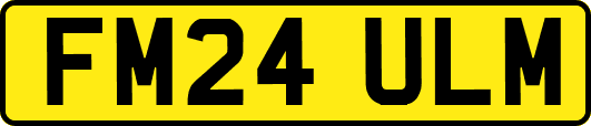 FM24ULM