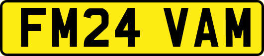 FM24VAM