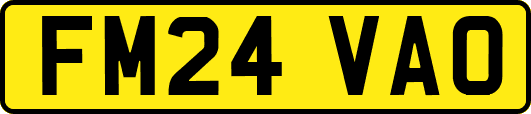 FM24VAO