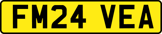 FM24VEA