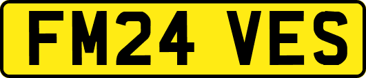 FM24VES