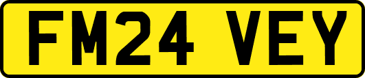 FM24VEY