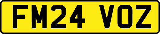 FM24VOZ