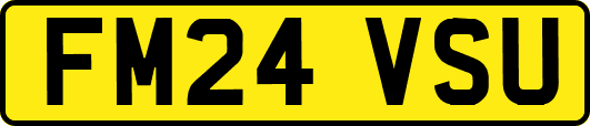 FM24VSU