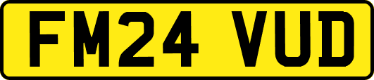 FM24VUD
