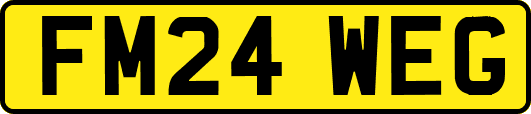 FM24WEG