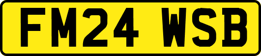 FM24WSB