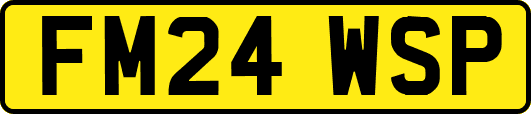 FM24WSP