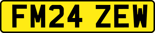 FM24ZEW