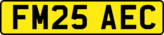 FM25AEC