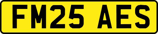 FM25AES