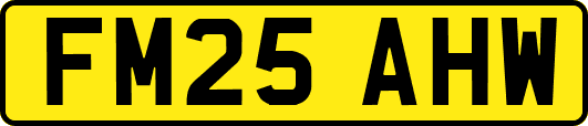 FM25AHW