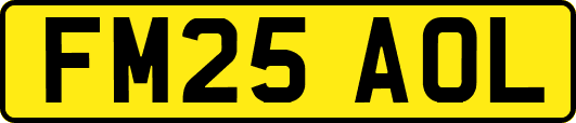 FM25AOL