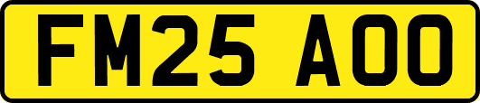 FM25AOO