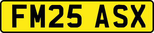 FM25ASX
