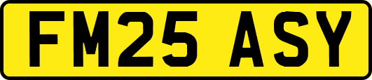 FM25ASY