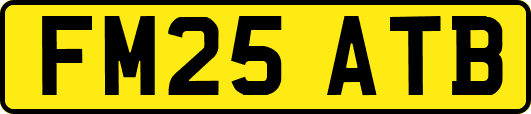 FM25ATB
