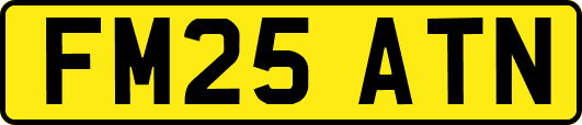 FM25ATN
