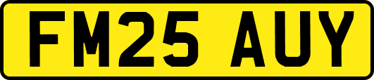 FM25AUY