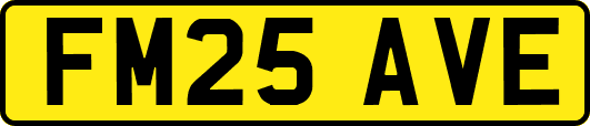 FM25AVE