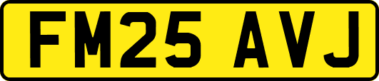 FM25AVJ