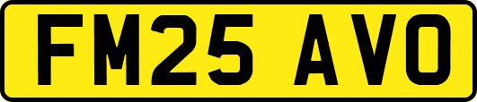 FM25AVO