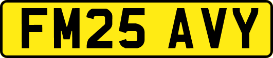 FM25AVY