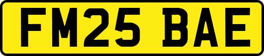 FM25BAE