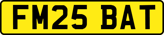 FM25BAT