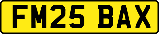 FM25BAX