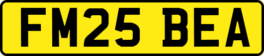 FM25BEA