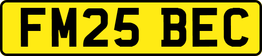 FM25BEC