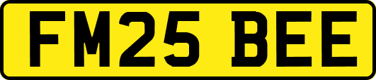 FM25BEE