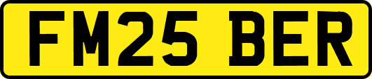 FM25BER