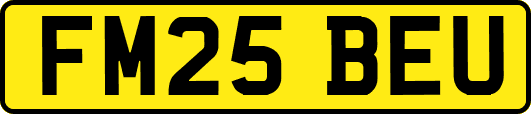 FM25BEU