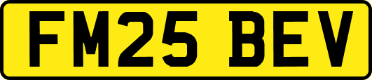 FM25BEV