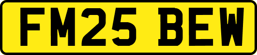 FM25BEW