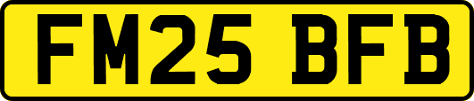 FM25BFB