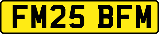 FM25BFM