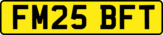 FM25BFT