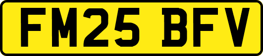 FM25BFV