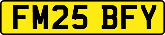 FM25BFY
