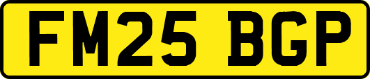 FM25BGP