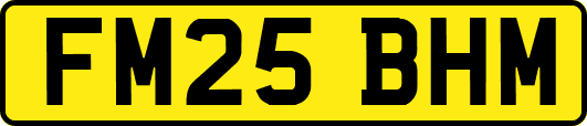 FM25BHM
