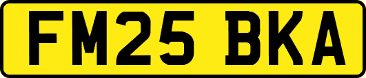 FM25BKA