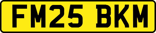 FM25BKM