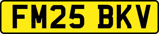 FM25BKV